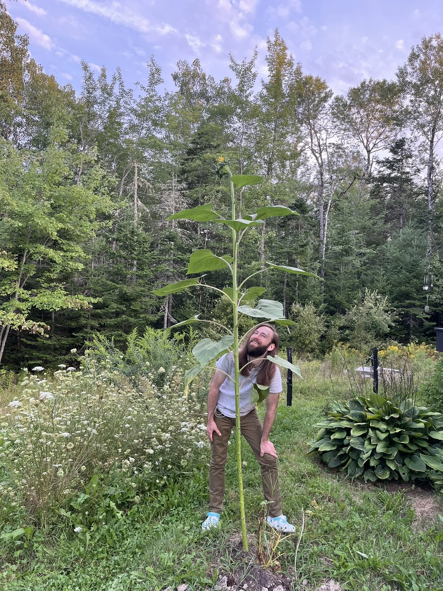 A man with long hair and a beard is standing in a garden, smiling and looking at a tall sunflower plant. The man is wearing a light gray t-shirt, pants, and blue sneakers. The garden has various plants and flowers, with a background of trees and a partly cloudy sky.