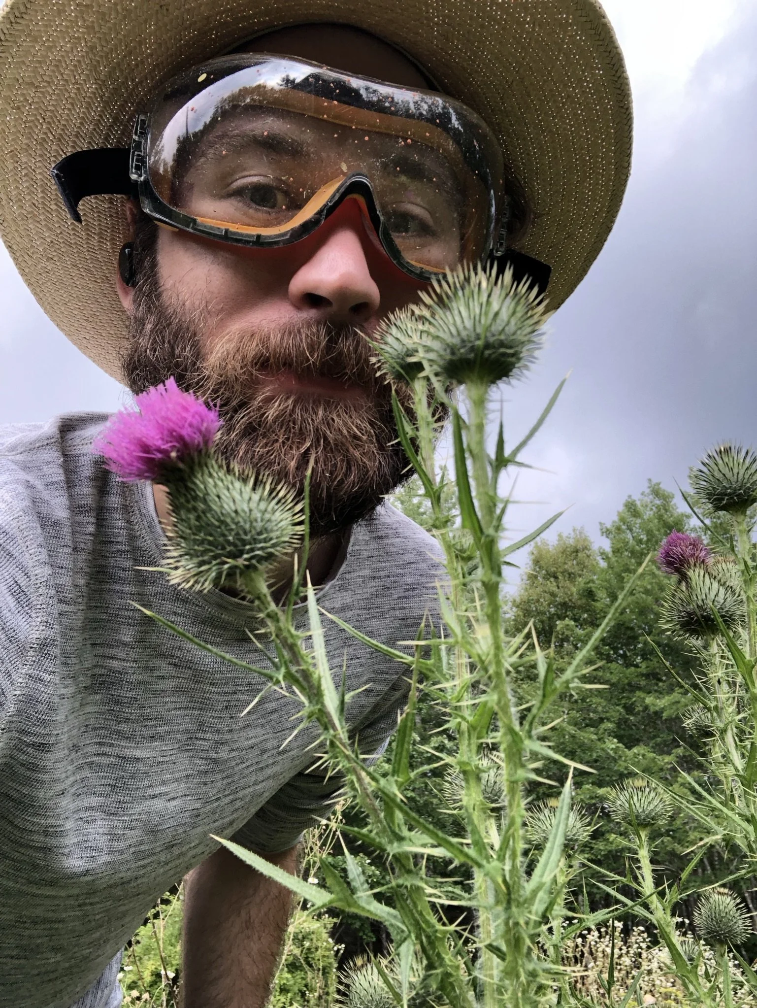 A person wearing a wide-brimmed straw hat and protective goggles looks closely at a purple thistle plant in a field of green bushes and tall grasses.