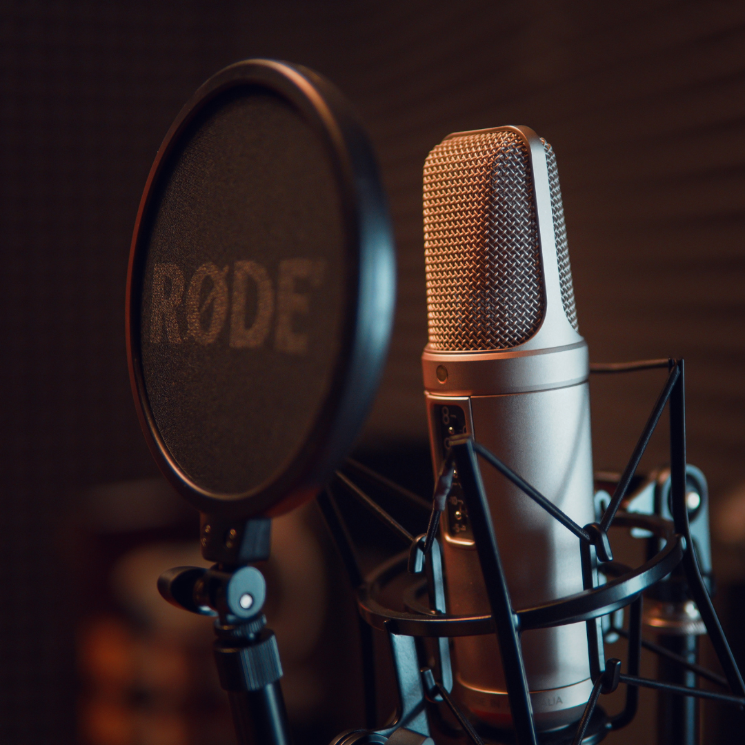 What Does A Voice Look Like?