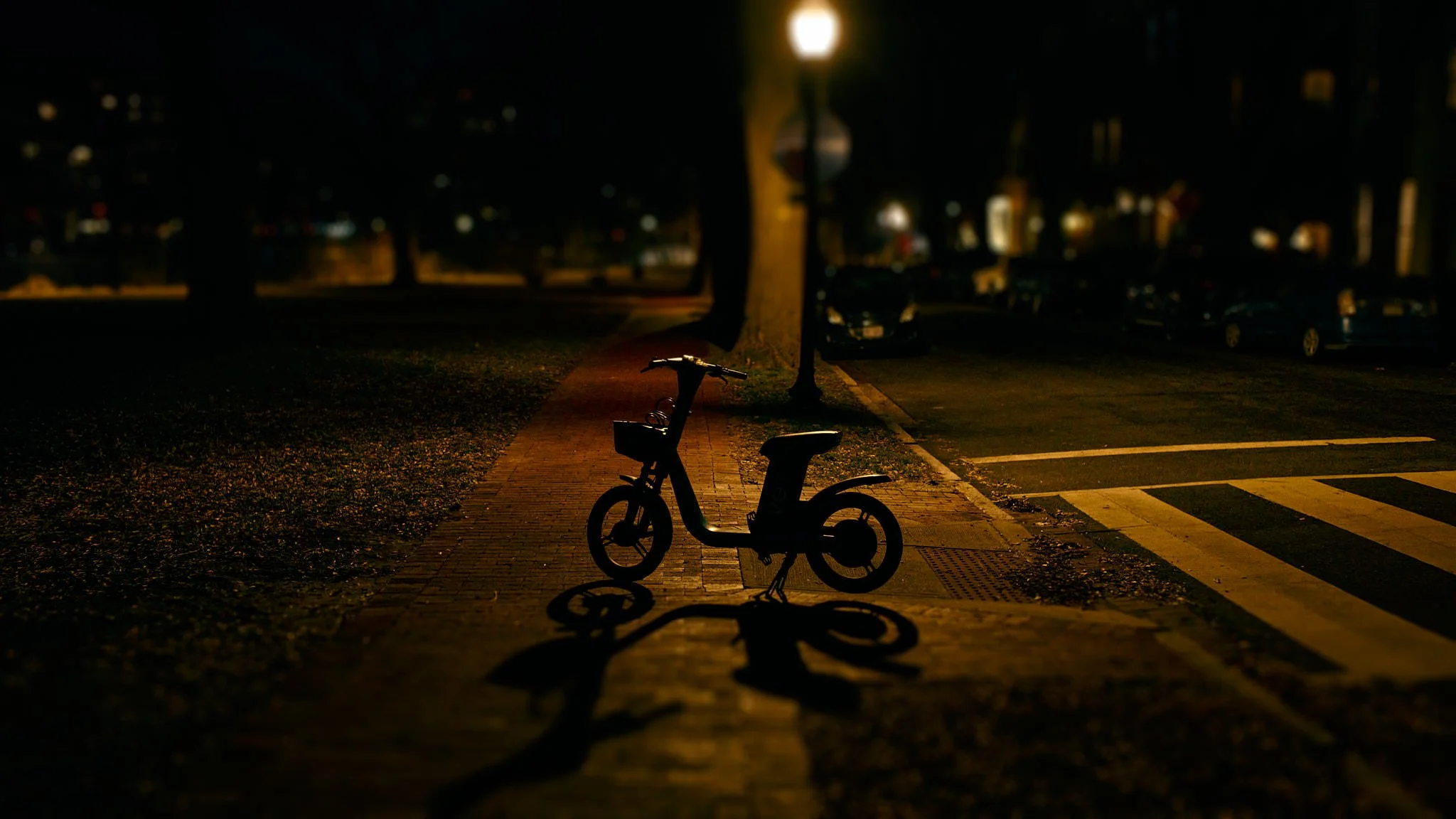 L1005009.jpg