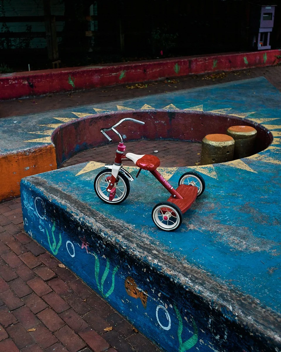 L1003893.jpg