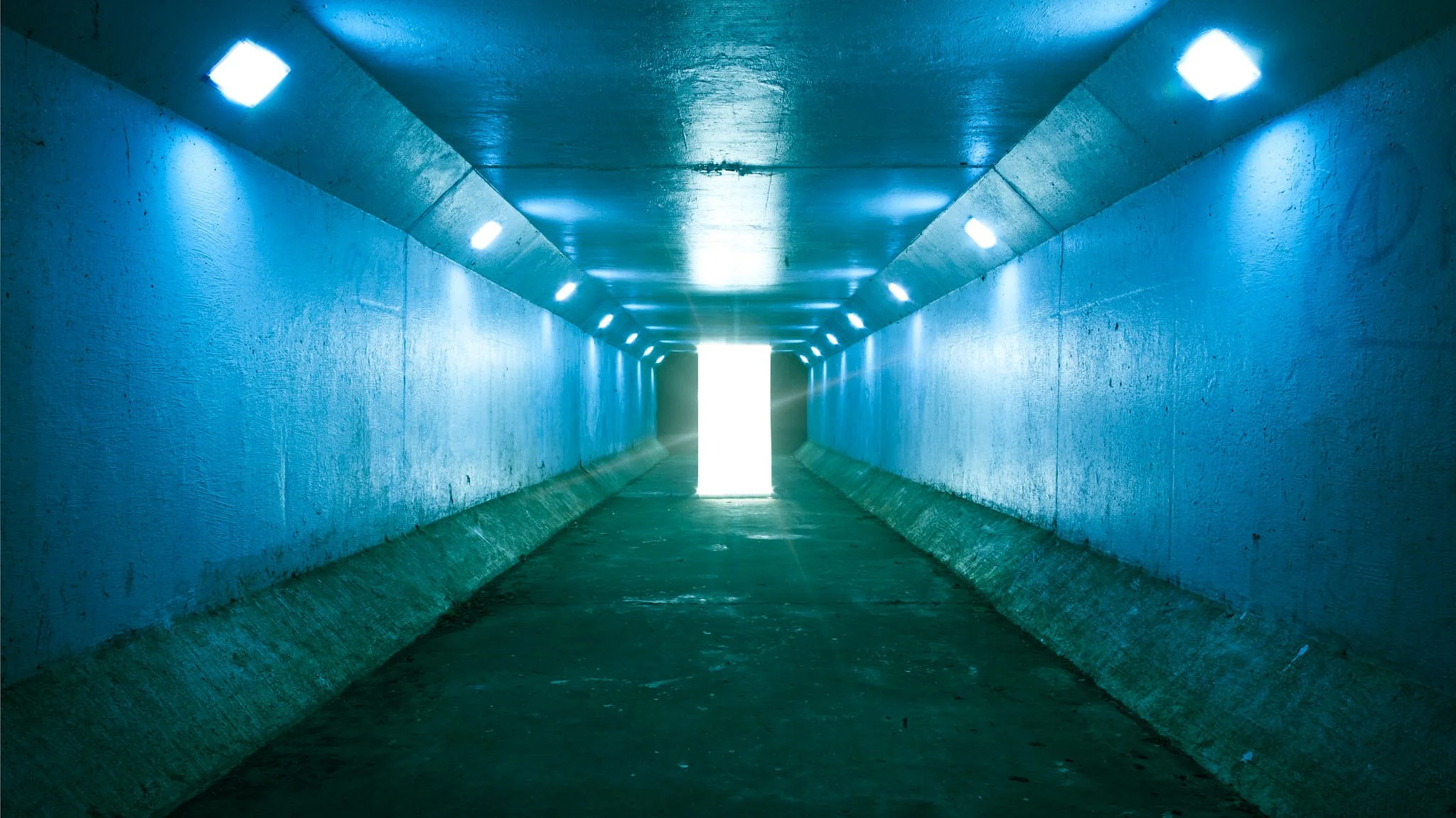 05Portal.jpg