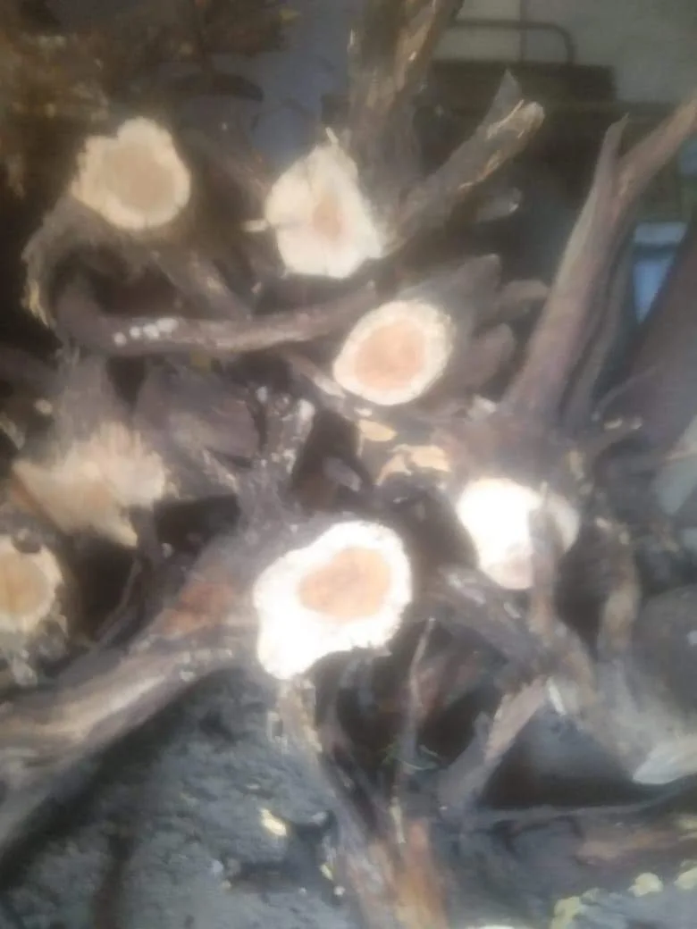 Sandalwood woods