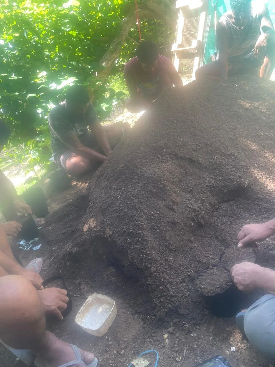 People working with soil outdoors, surrounded by green trees and sitting near a large excavation site.
