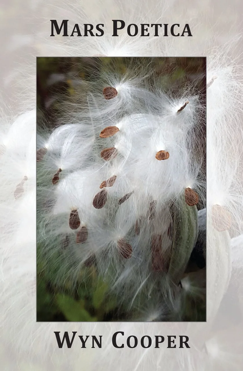 Close-up of a dandelion seed head with seeds attached, some seeds drifting away.