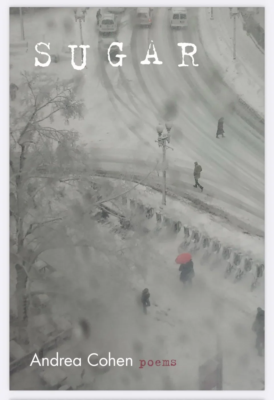 Cover of a book titled 'SUGAR' with a snowy city scene and pedestrians walking, one holding a red umbrella. Author Andrea Cohen, poetry genre.