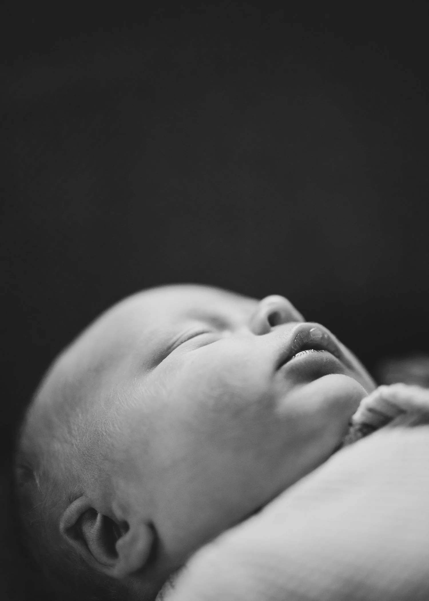 IMG_1597-2 copy.jpg