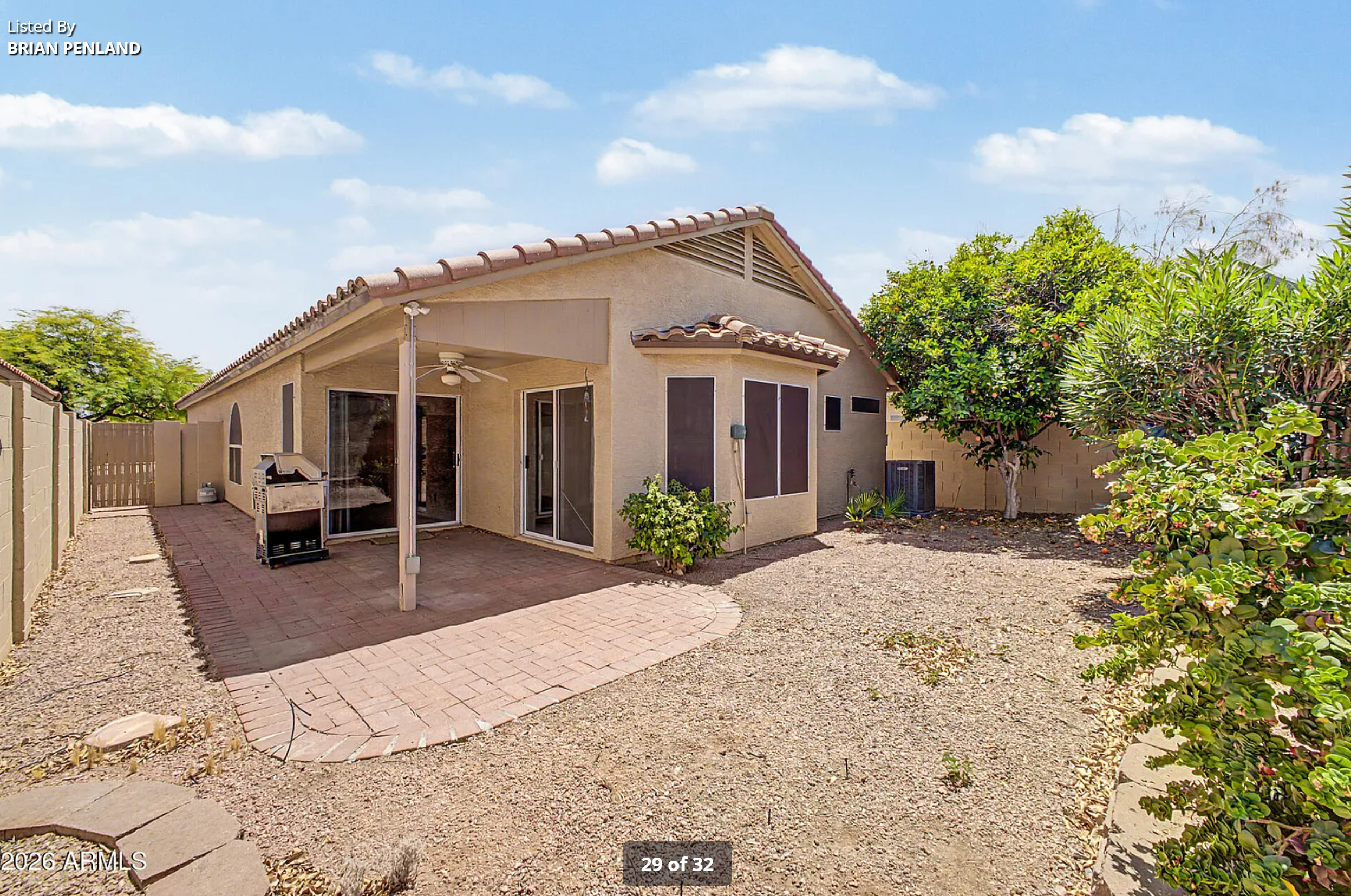 Backyard 1 -BEFORE.png