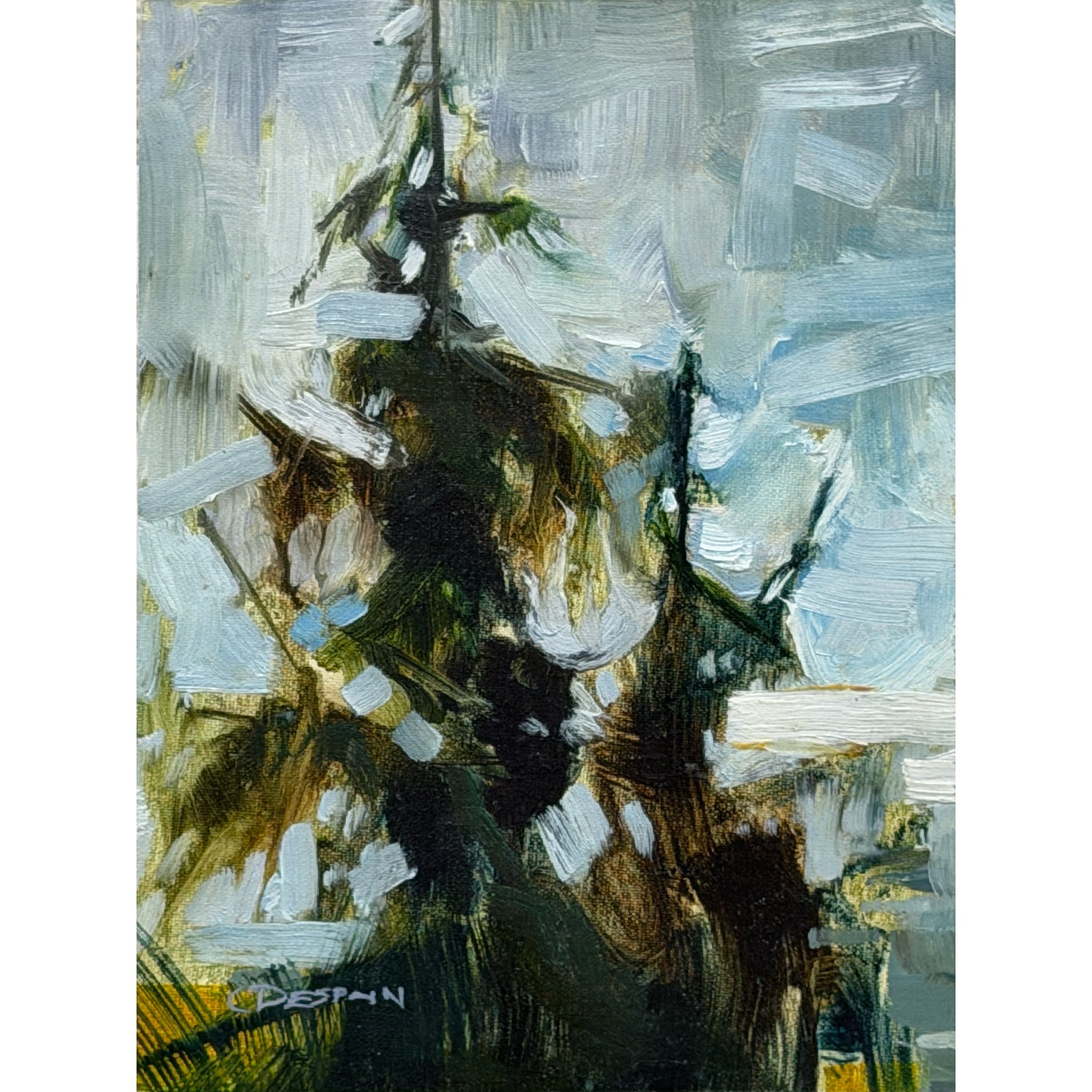 Issaquah Tree