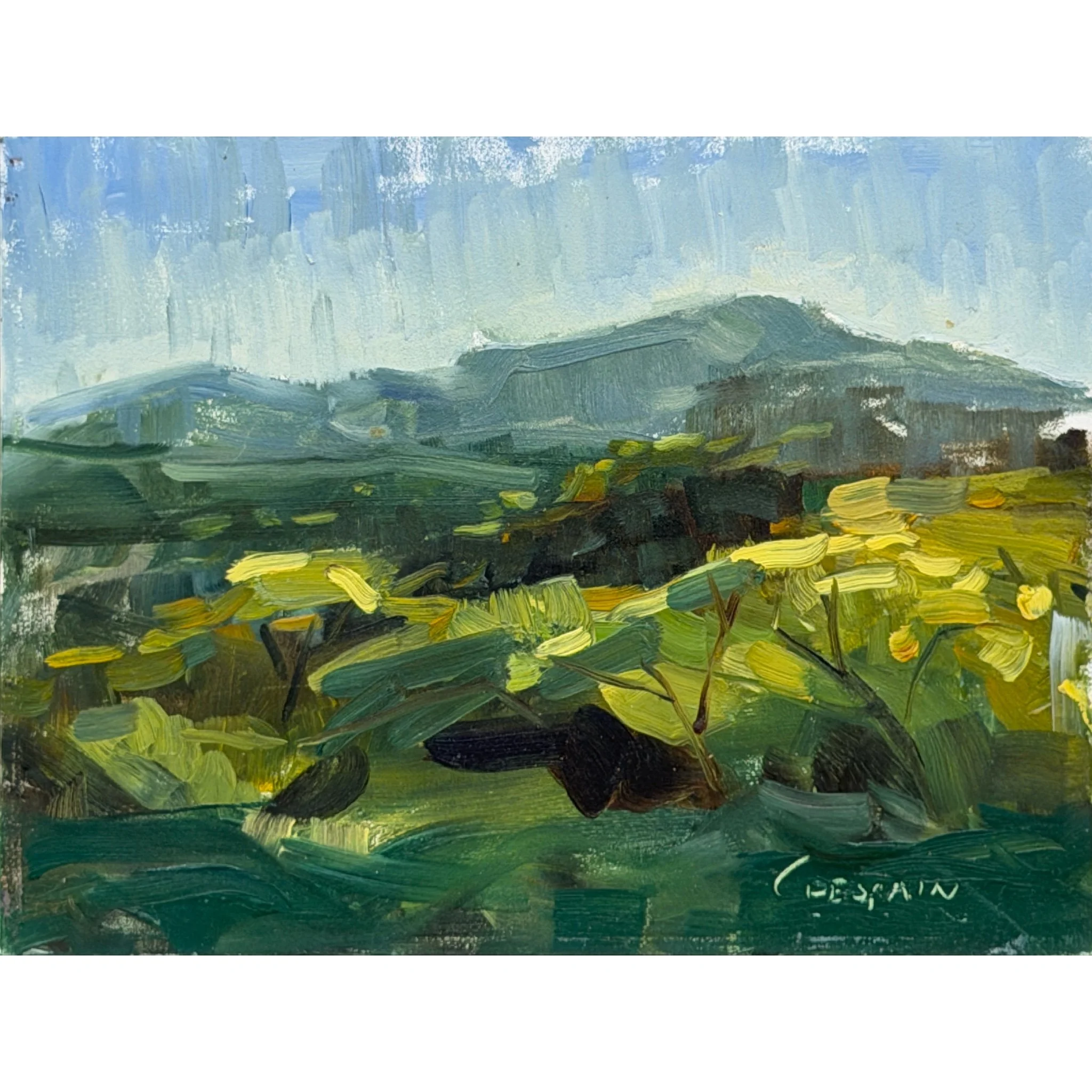 Santa Fe Desert
