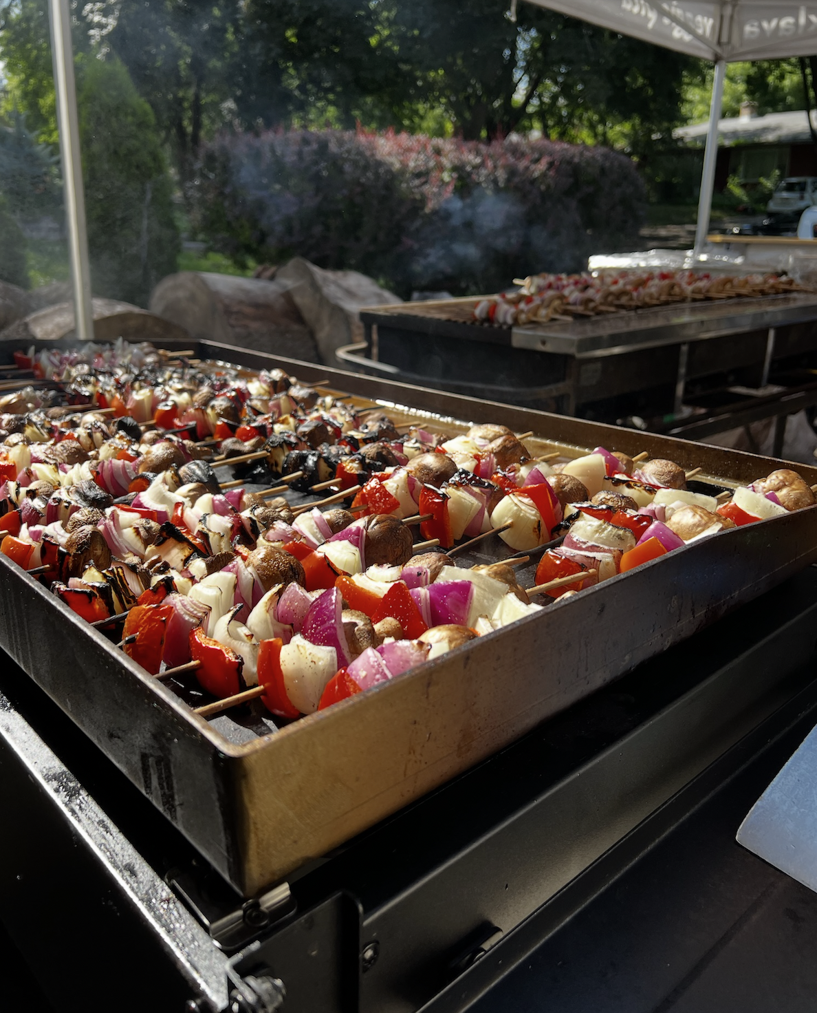 seedhouse_food_13.png .png