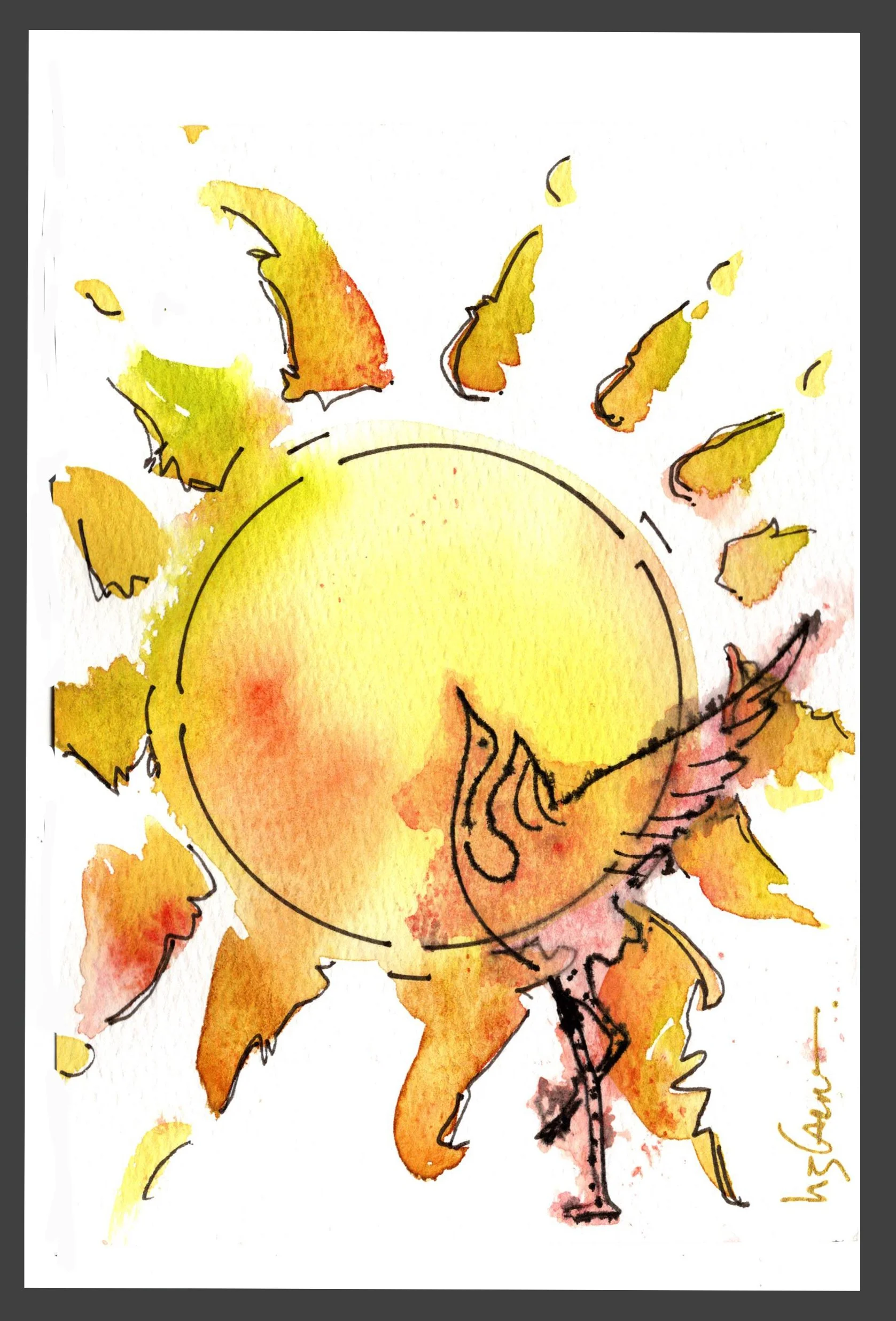 Sun&Bird