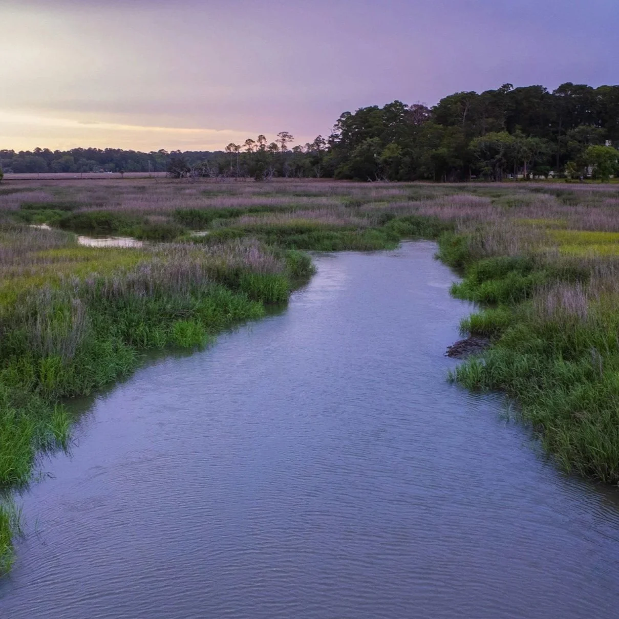 A peaceful river flowing through a marshland with tall grasses and purple flowers, with trees in the background under a cloudy sky at dusk.