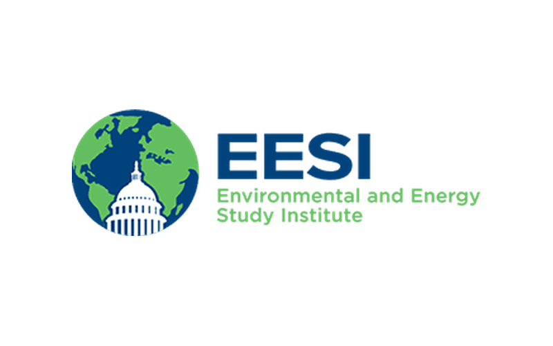 eesi.png