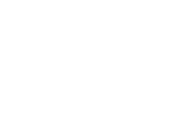 cleanwi-logo-rev.png