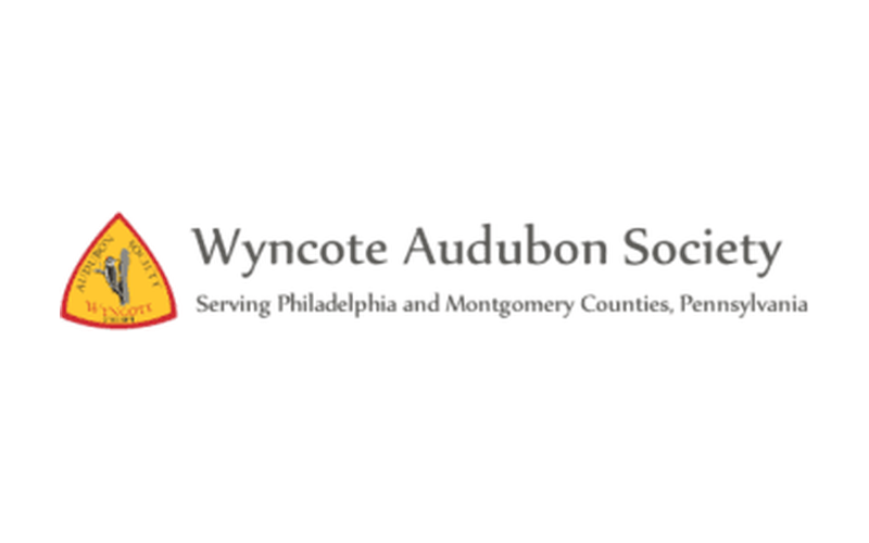 wyncote-audubon-society.png