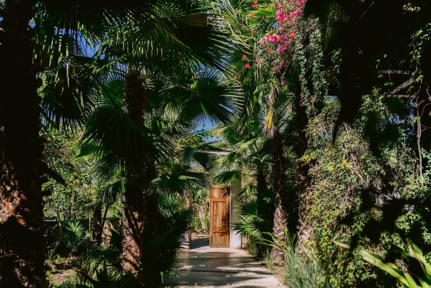 05_sendero_tropical.jpg