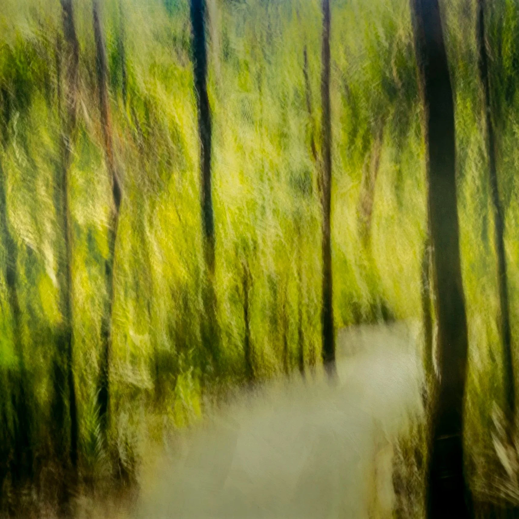 DAN GOTTLIEB