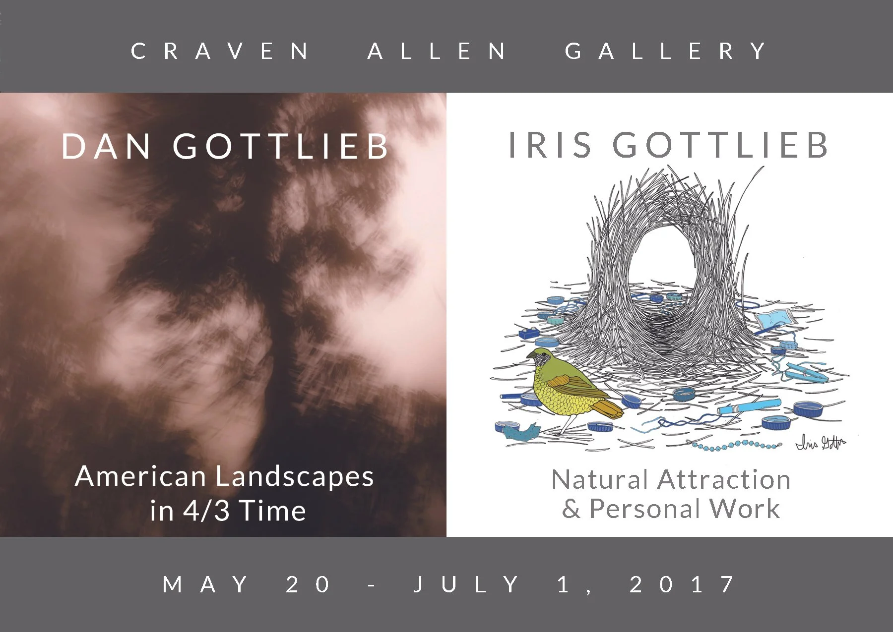 A promotional banner for an art exhibition at Craven Allen Gallery featuring works by Dan Gottlieb and Iris Gottlieb, showcasing landscapes, natural attractions, and personal work, held from May 20 to July 1, 2017.
