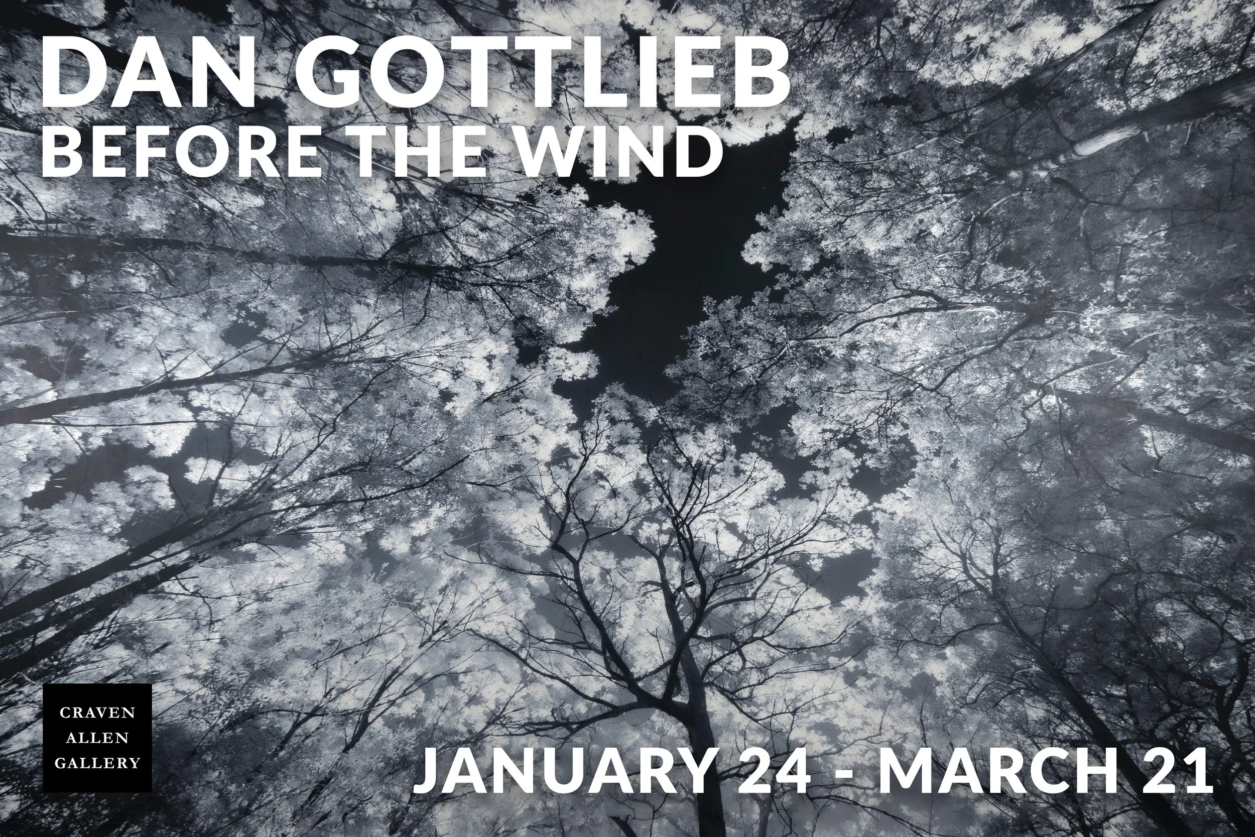 Dan Gottlieb Exhibition Before the Wind
