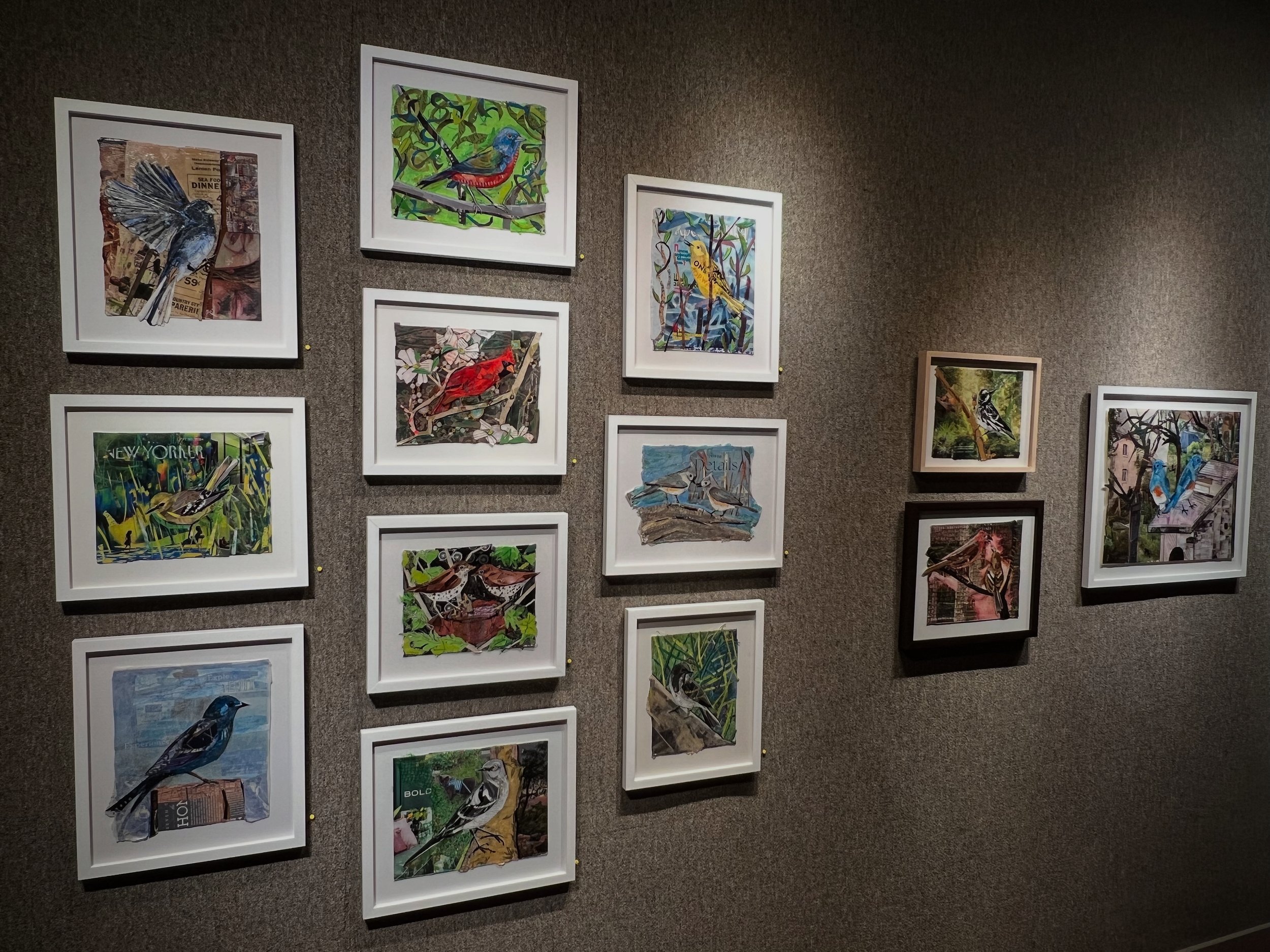 Gallery wall displaying colorful bird art prints arranged on a dark wall.