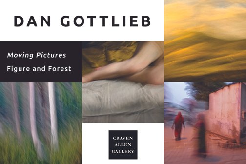 A book cover for Dan Gottlieb's 'Moving Pictures, Figure and Forest,' published by Craven Allen Gallery. The cover features abstract blurred images of nature and a person.
