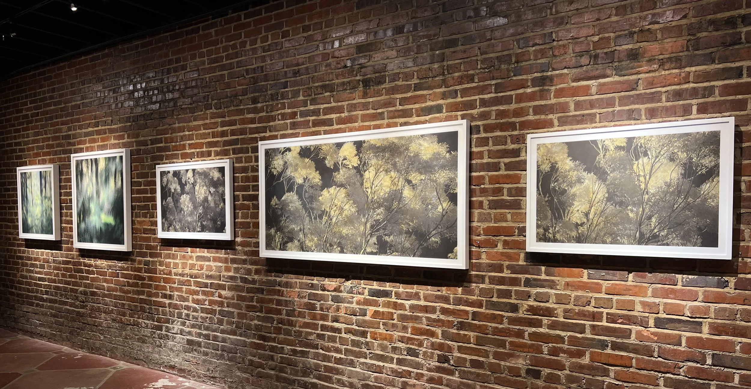 Gallery display of framed nature photographs on a brick wall with spot lighting.