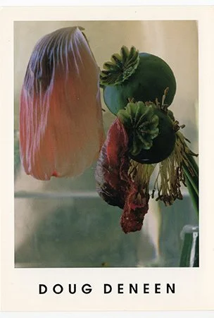 A hanging arrangement of a pink and blonde wig and green plants with pink roots, with the name 'Doug Deneen' at the bottom.
