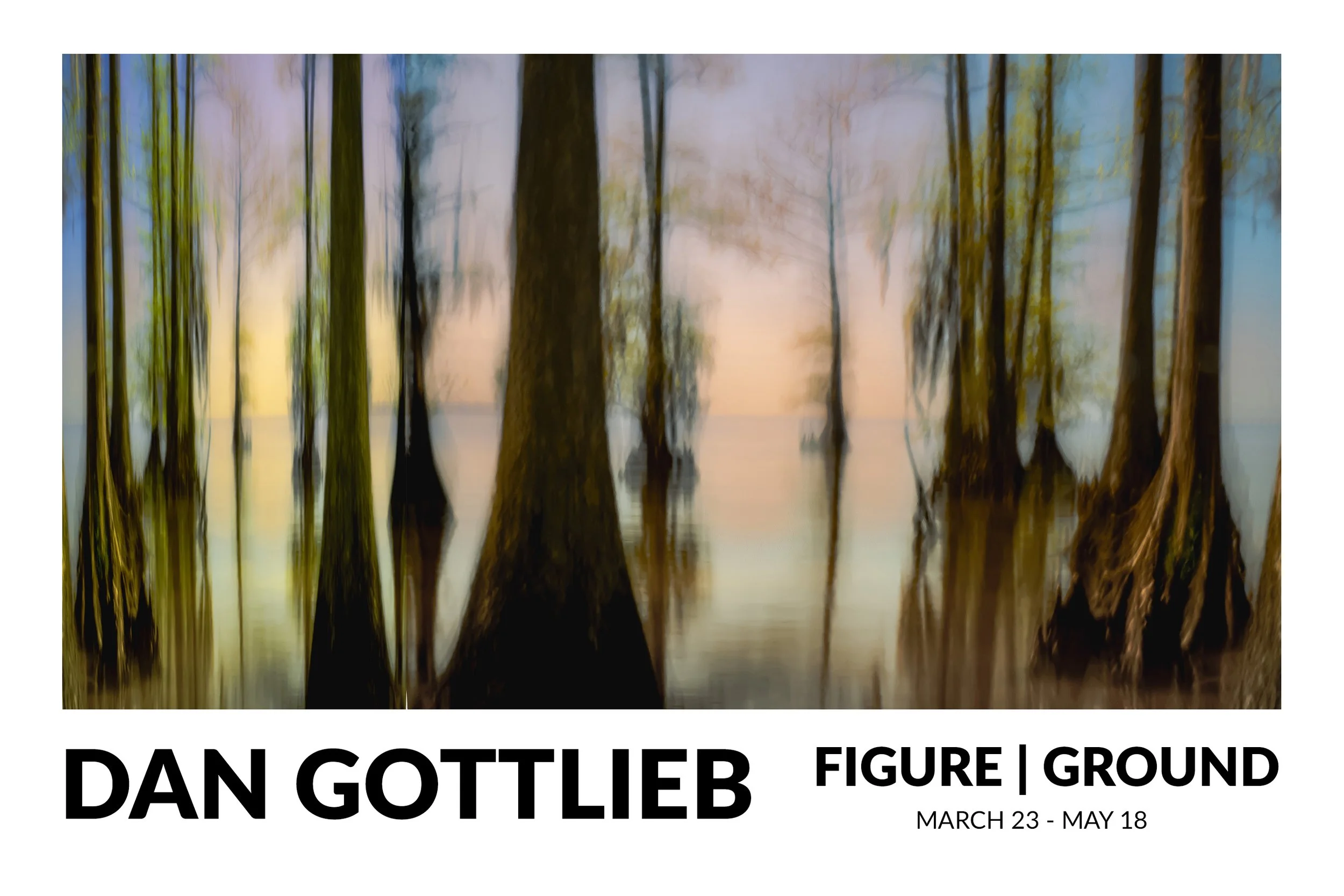 Dan Gottlieb Exhibiton Figure | Ground