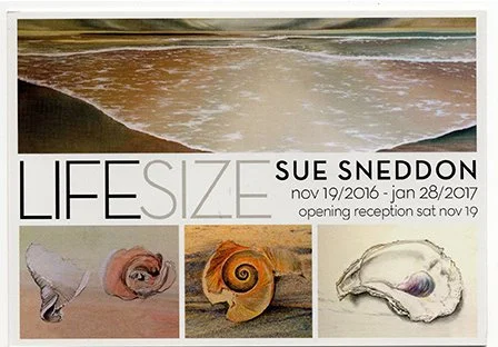 An art exhibition poster titled "LIFESIZE" by Sue Sneddon, open from November 19, 2016, to January 28, 2017, with an opening reception on November 19. The poster features photographs of shells and a sculpture of a shell.
