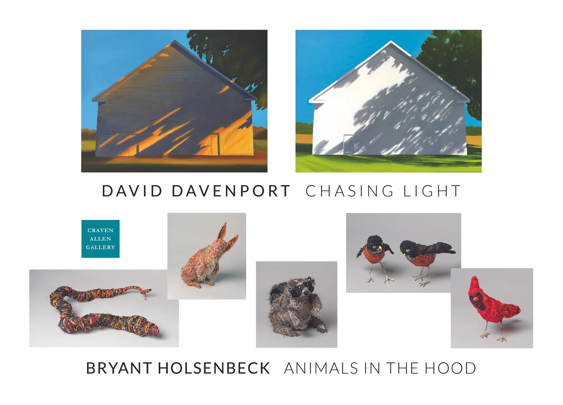 Book cover featuring portraits of animals made from various materials, with the title "Animals in the Hood" and the author Bryan Holsenbeck.