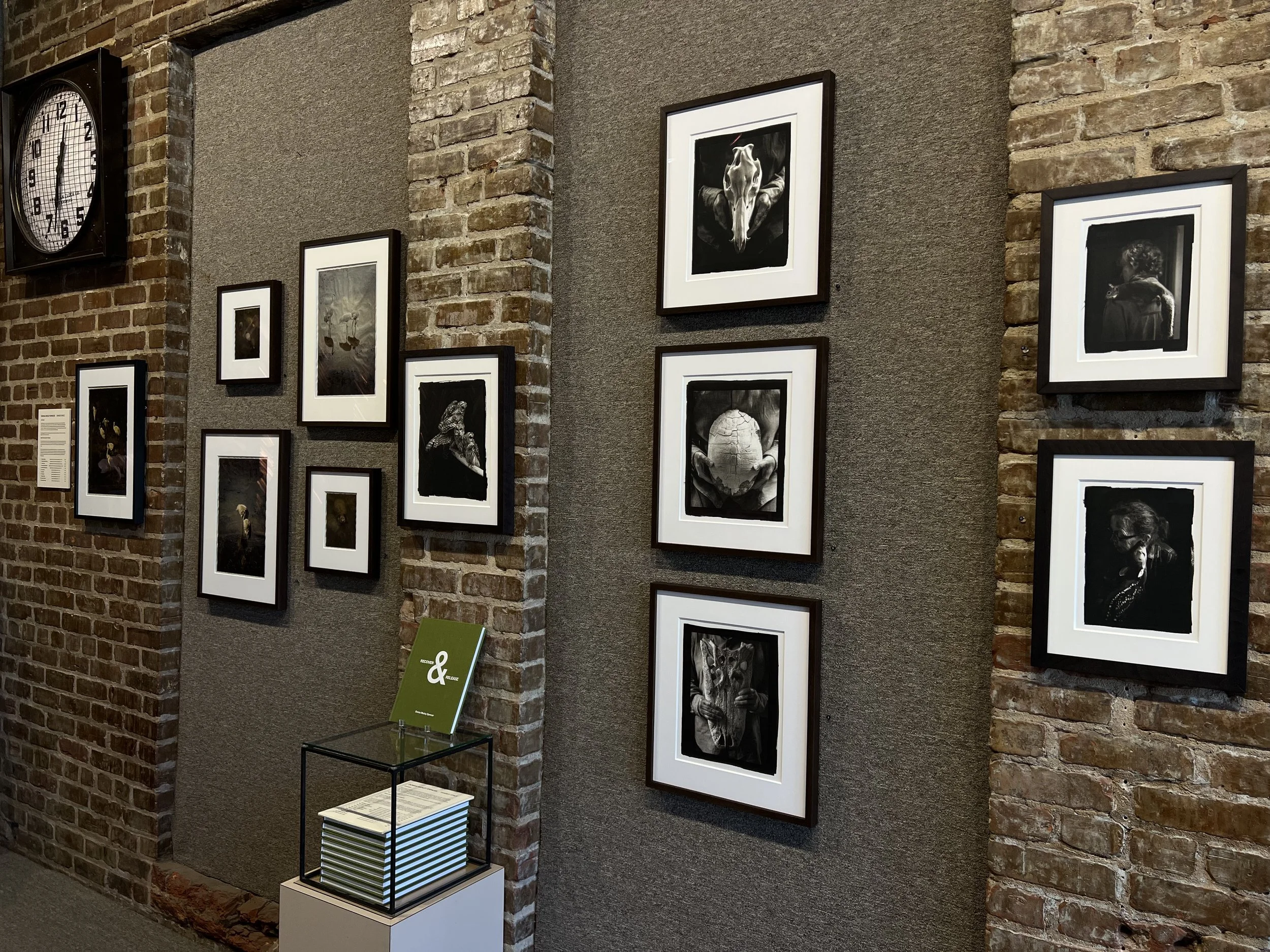 Gallery wall with black and white photographs of animals and people, brick wall background, clock at upper left, small display table with books at bottom, a green informational sign on a stand.