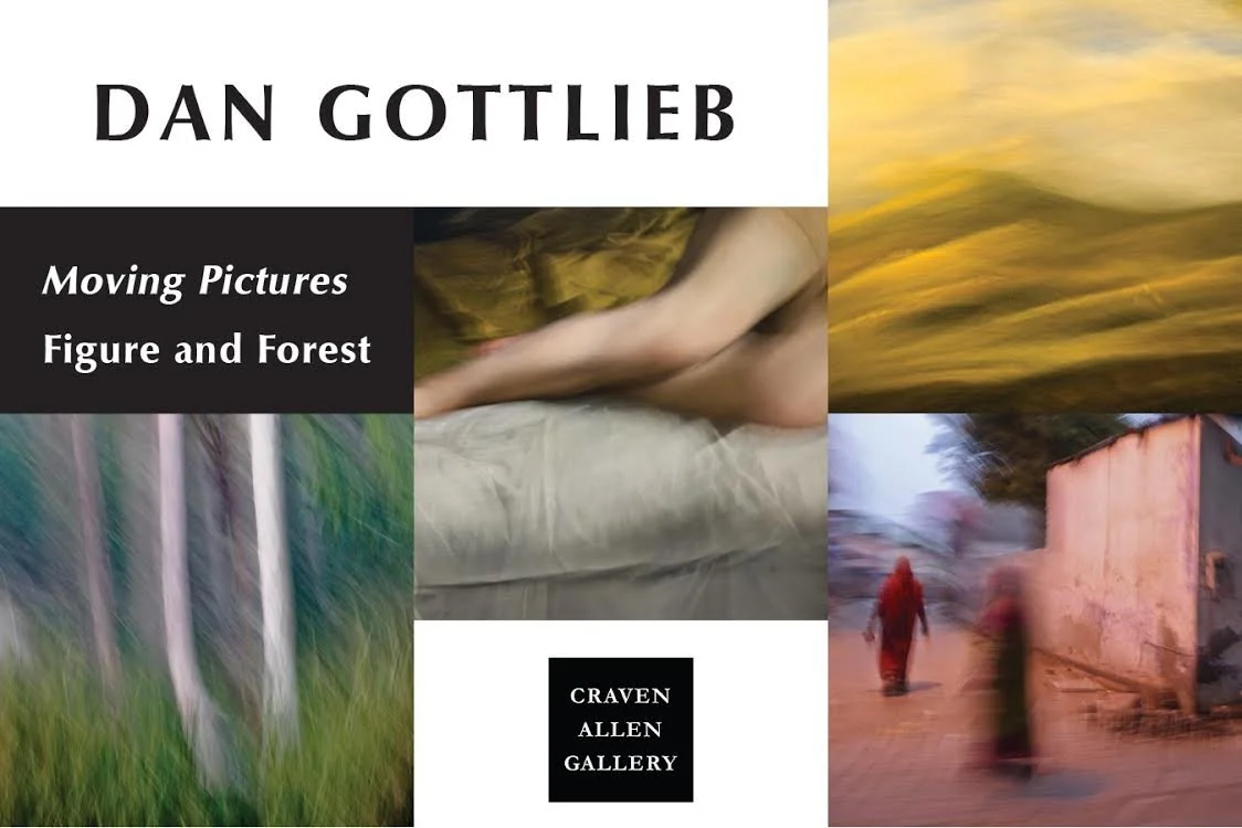 Cover of a book by Dan Gottlieb titled "Moving Pictures: Figure and Forest" published by Craven Allen Gallery. The cover features four abstract or blurred photographs of nature, people, and landscapes.