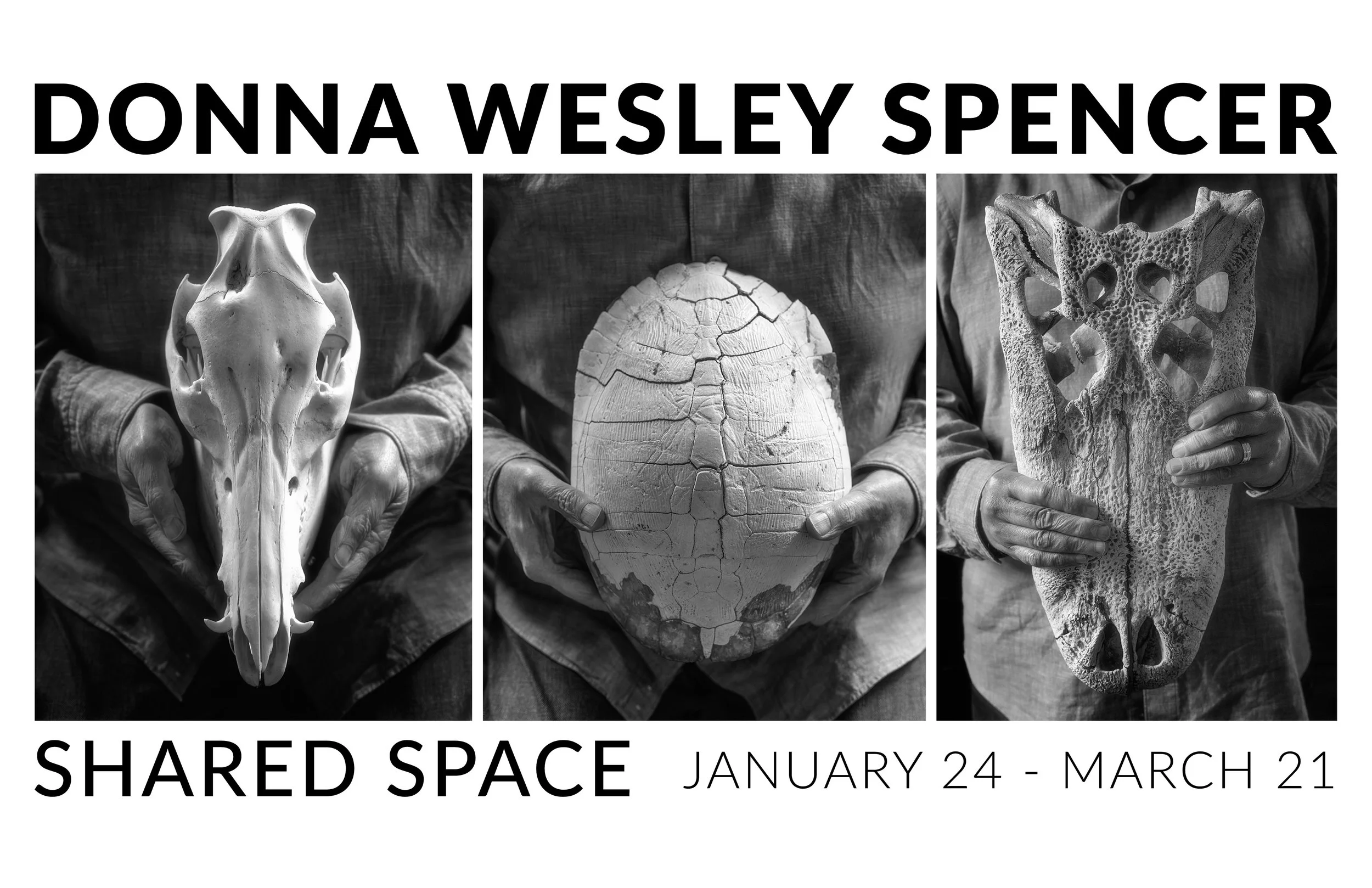 Donna Wesley Spencer Exhibition Shared Space
