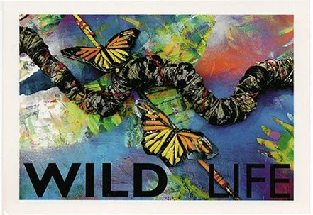 Colorful abstract background with a banded snake and butterflies, and the text 'WILD LIFE' at the bottom.