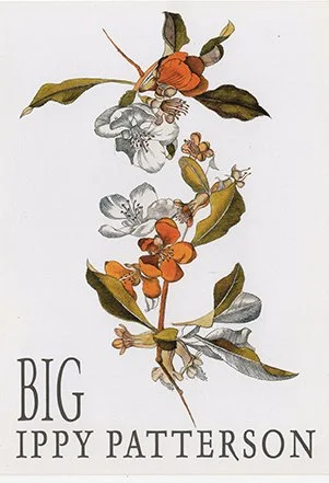 Illustration of a flowering branch with orange, white, and yellow flowers and green leaves, along with bees or insects, and the text 'BIG IPPY PATTERSON' at the bottom.