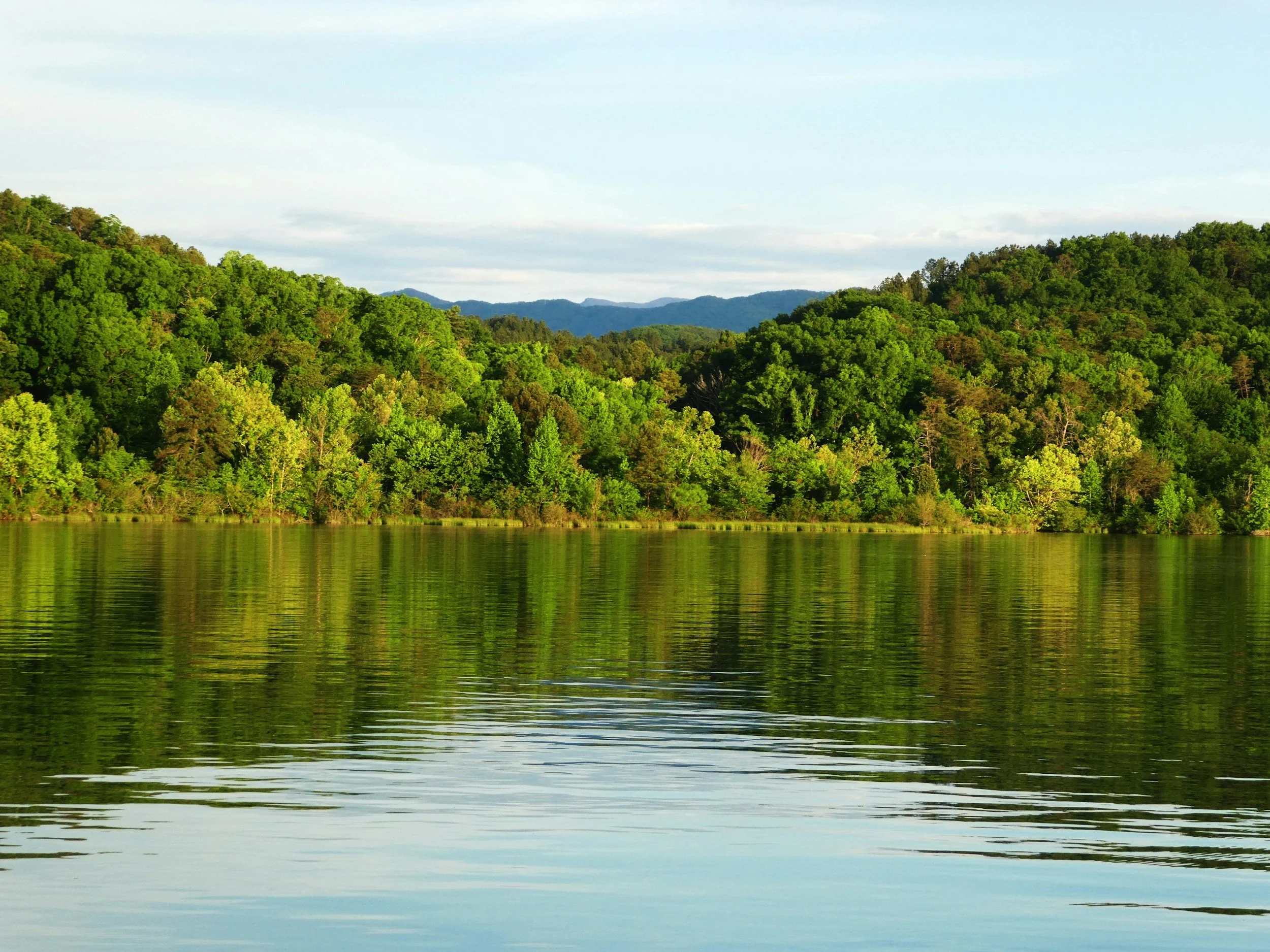Calm river with reflections of green trees on both sides and a range of hills in the distance under a partly cloudy sky.