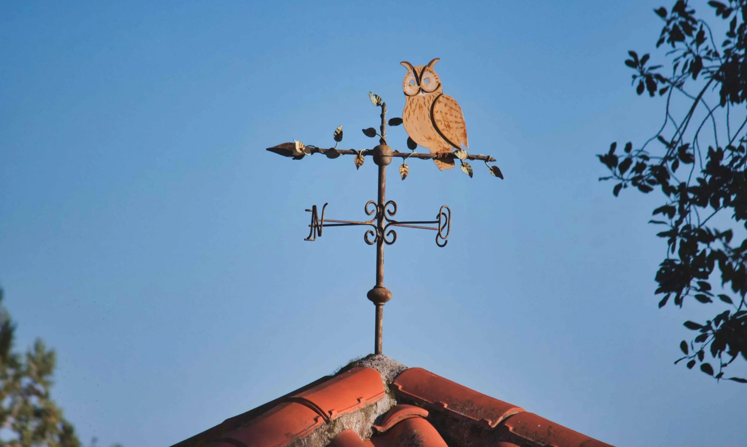 A weather vane shaped like an owl perched on a rooftop against a clear blue sky, with tree branches and leaves partially visible on the right side.