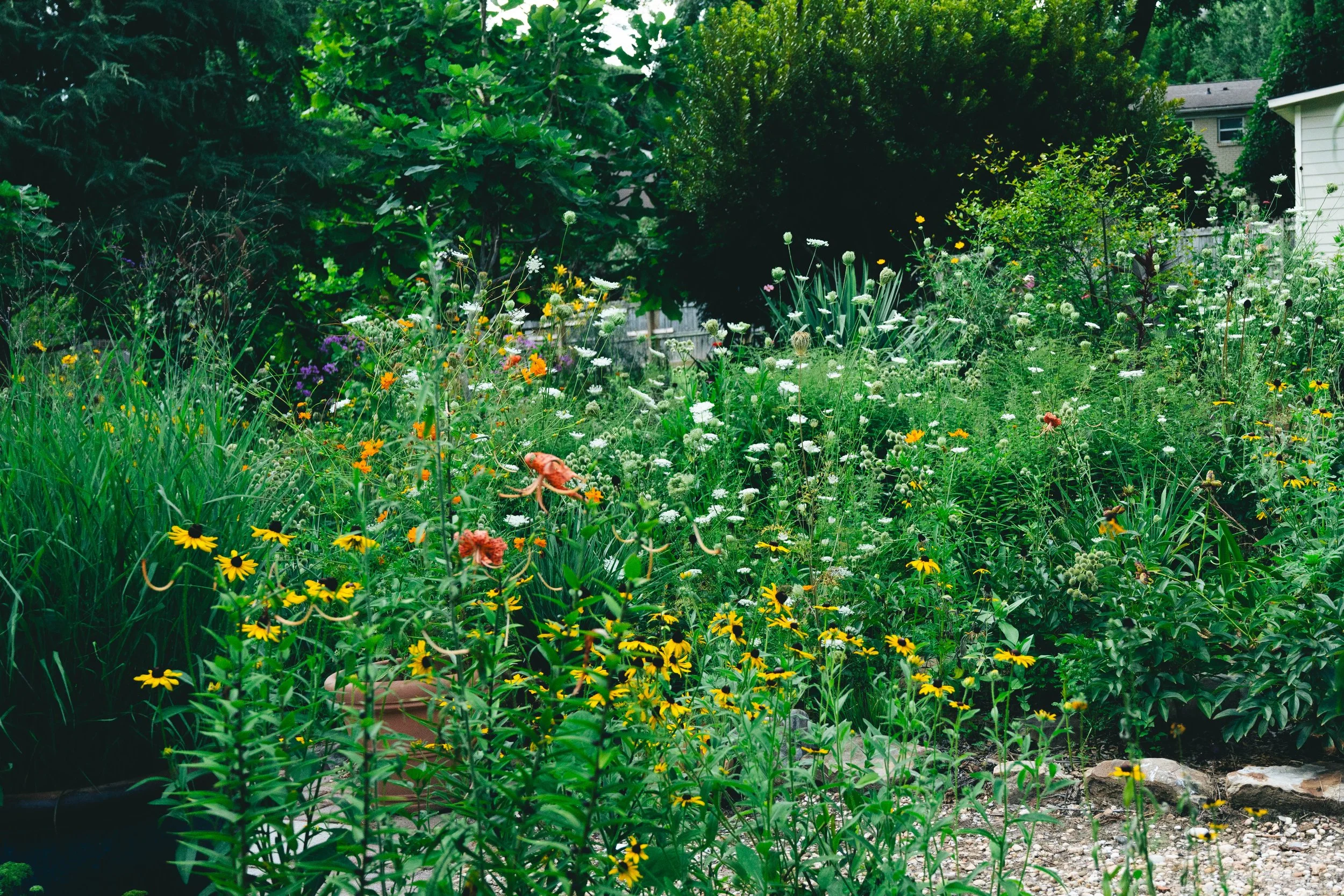 Orange Tiger Lillies, Queen Annes Lace, Peonies, Hedge Grass