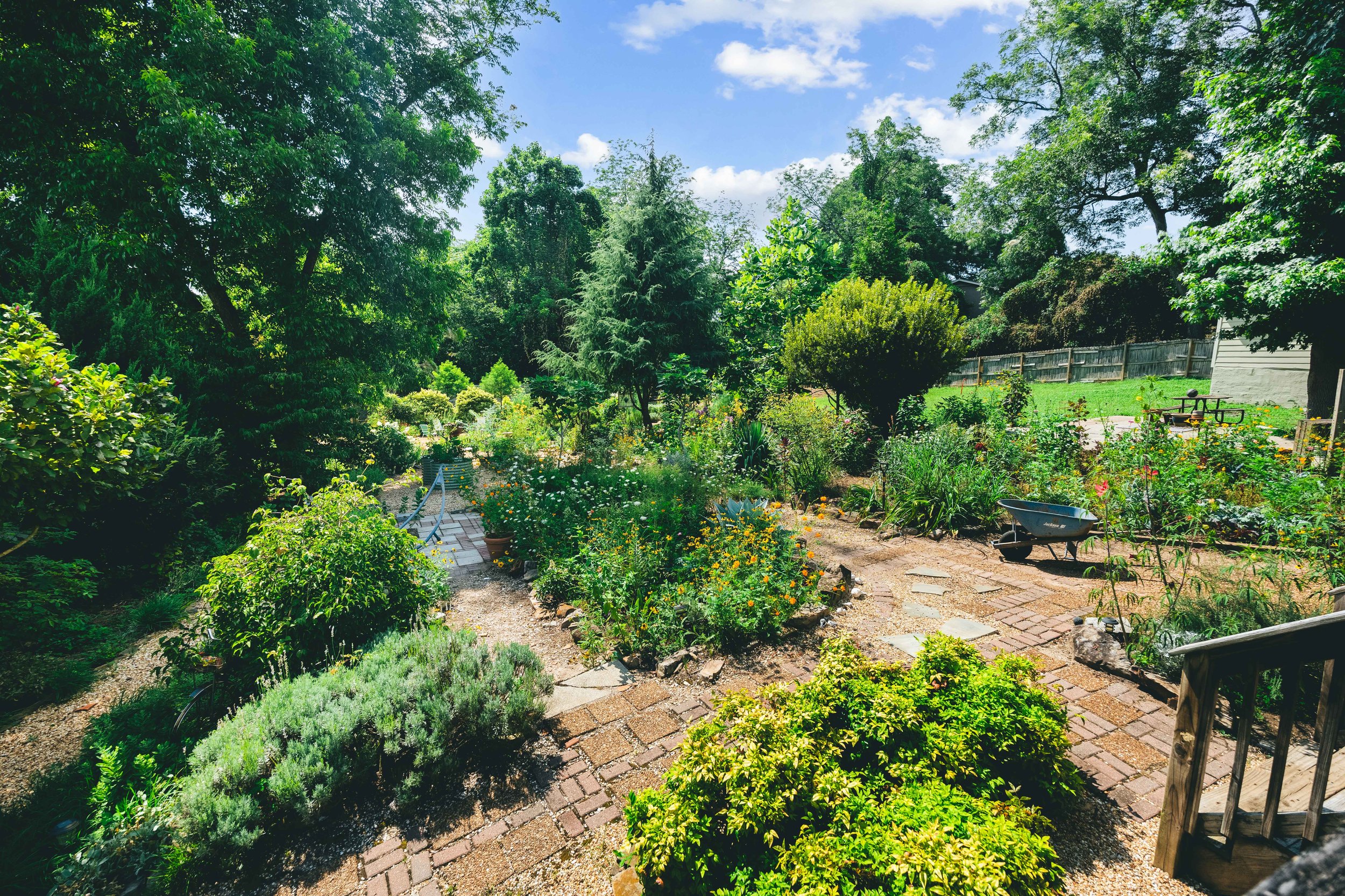 51 Doyle - Garden.jpg