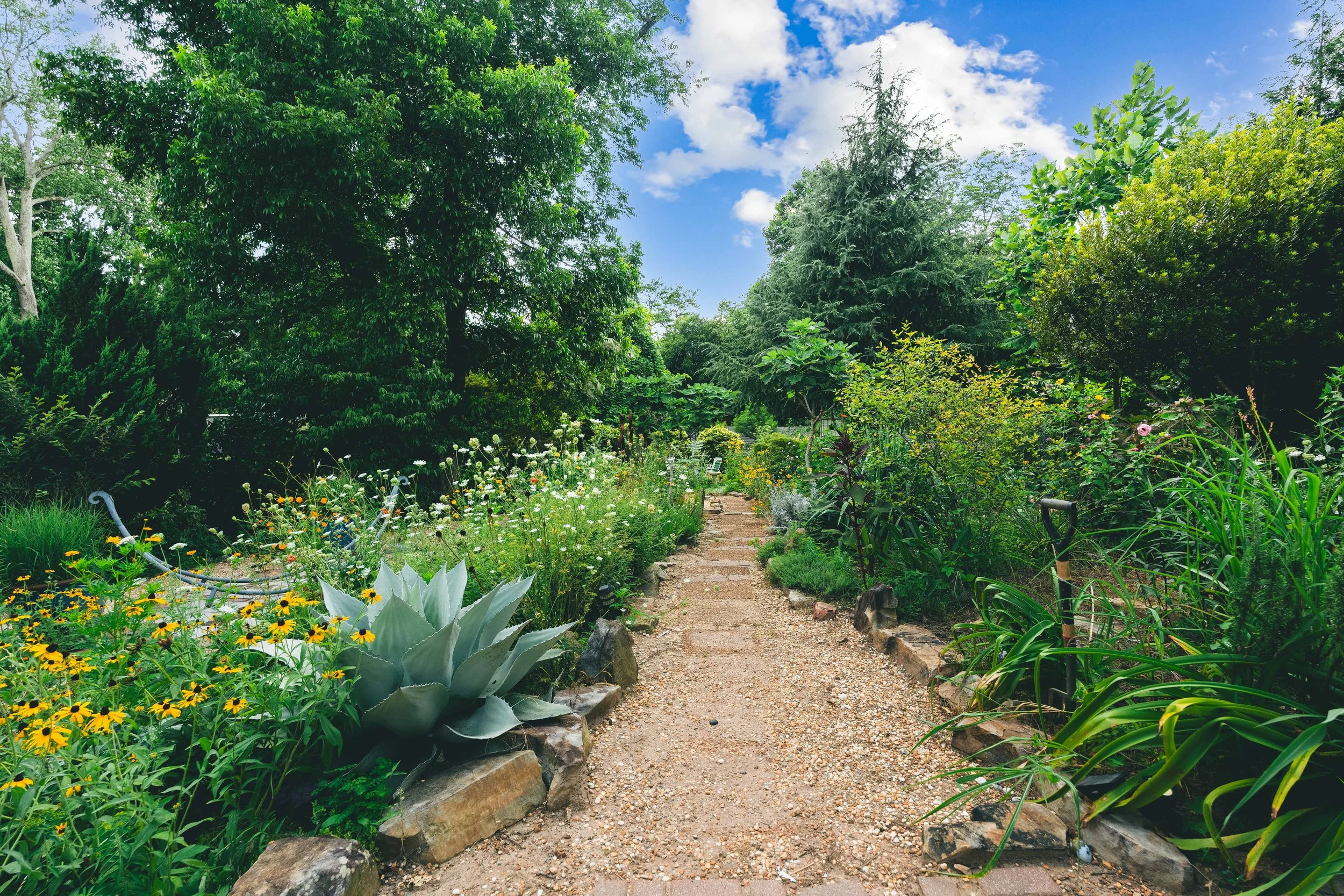 51 Doyle - Garden-3.jpg