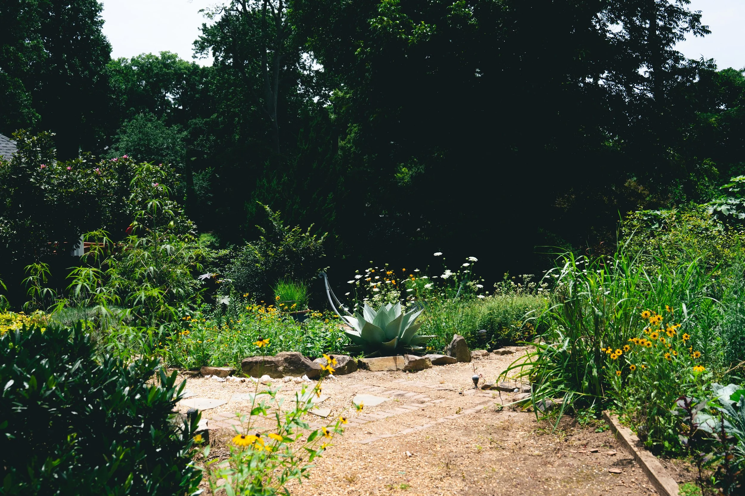 51 Doyle - Garden-66.jpg