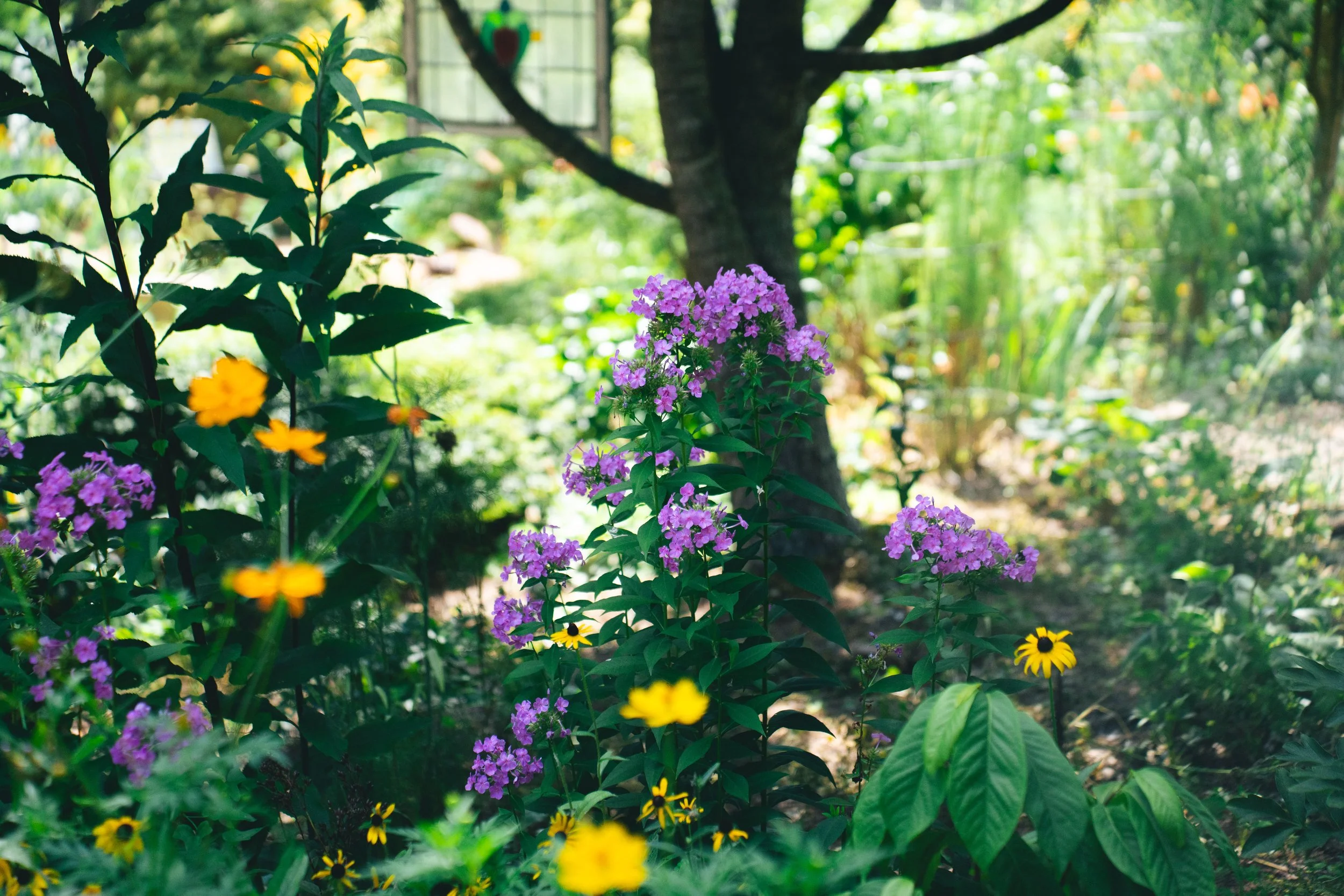51 Doyle - Garden-27.jpg