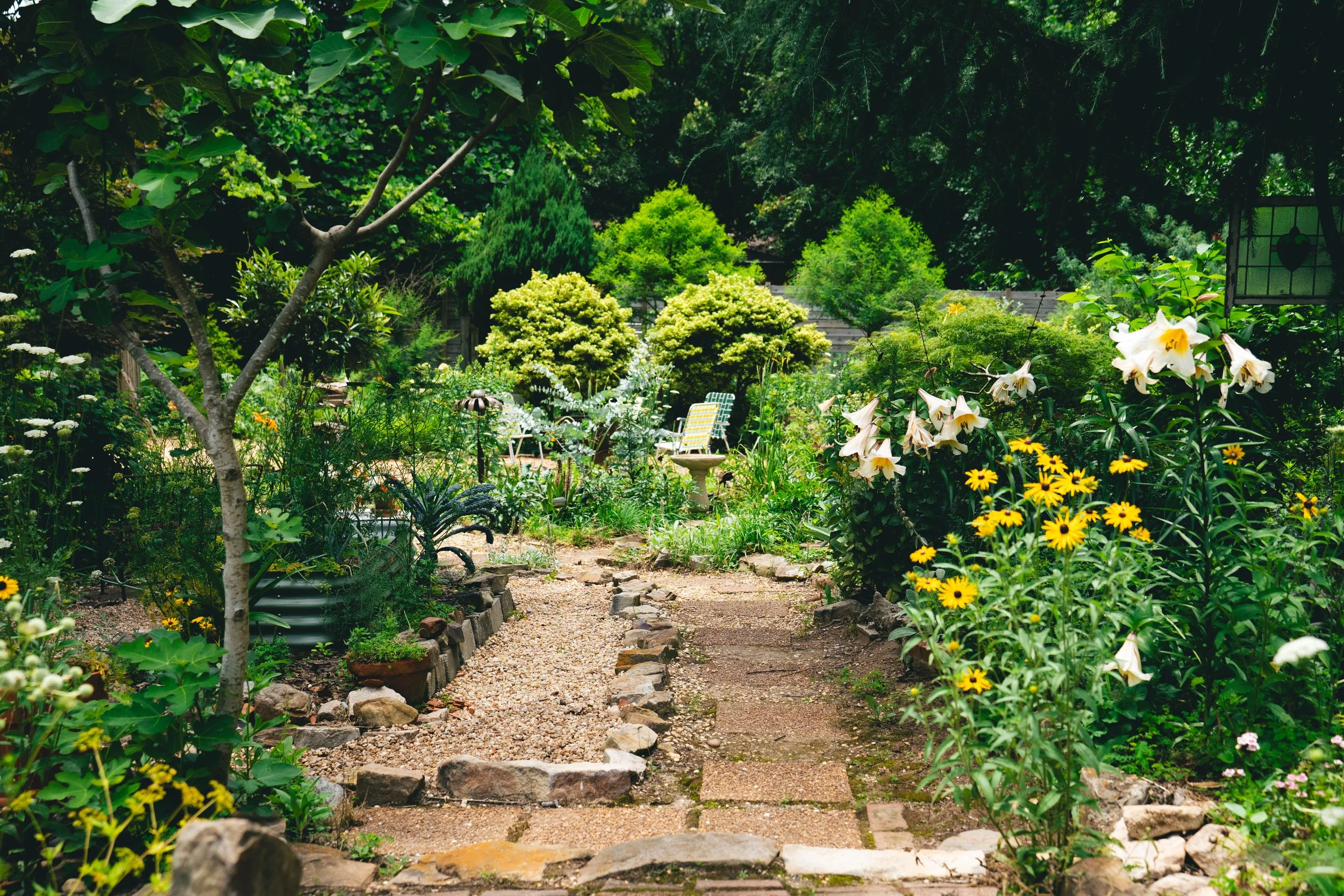 More Paths!