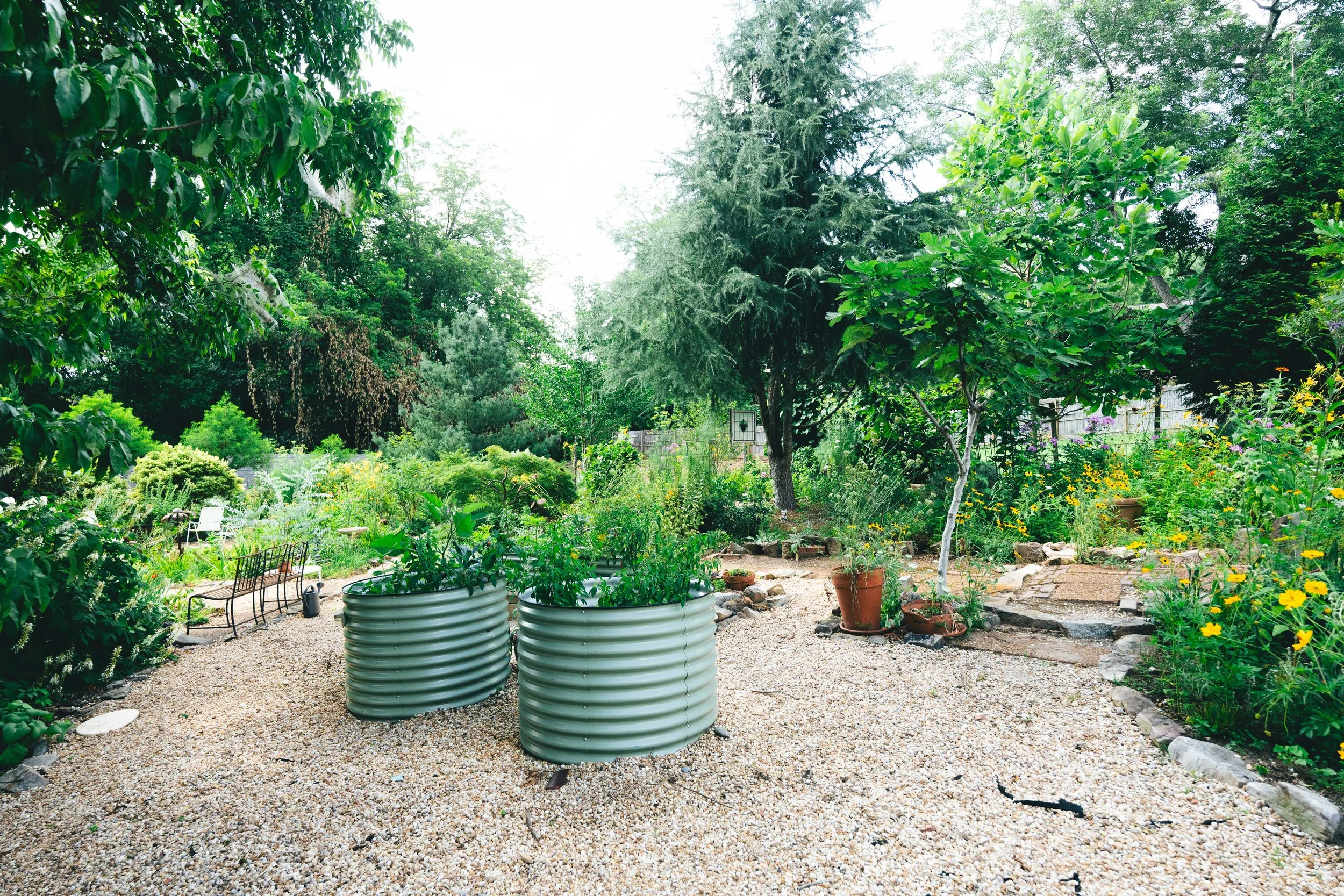Vego garden planters w/ jalapeños, seranos, eggplant, mustard greens, basil, rosemary, parsley and more!