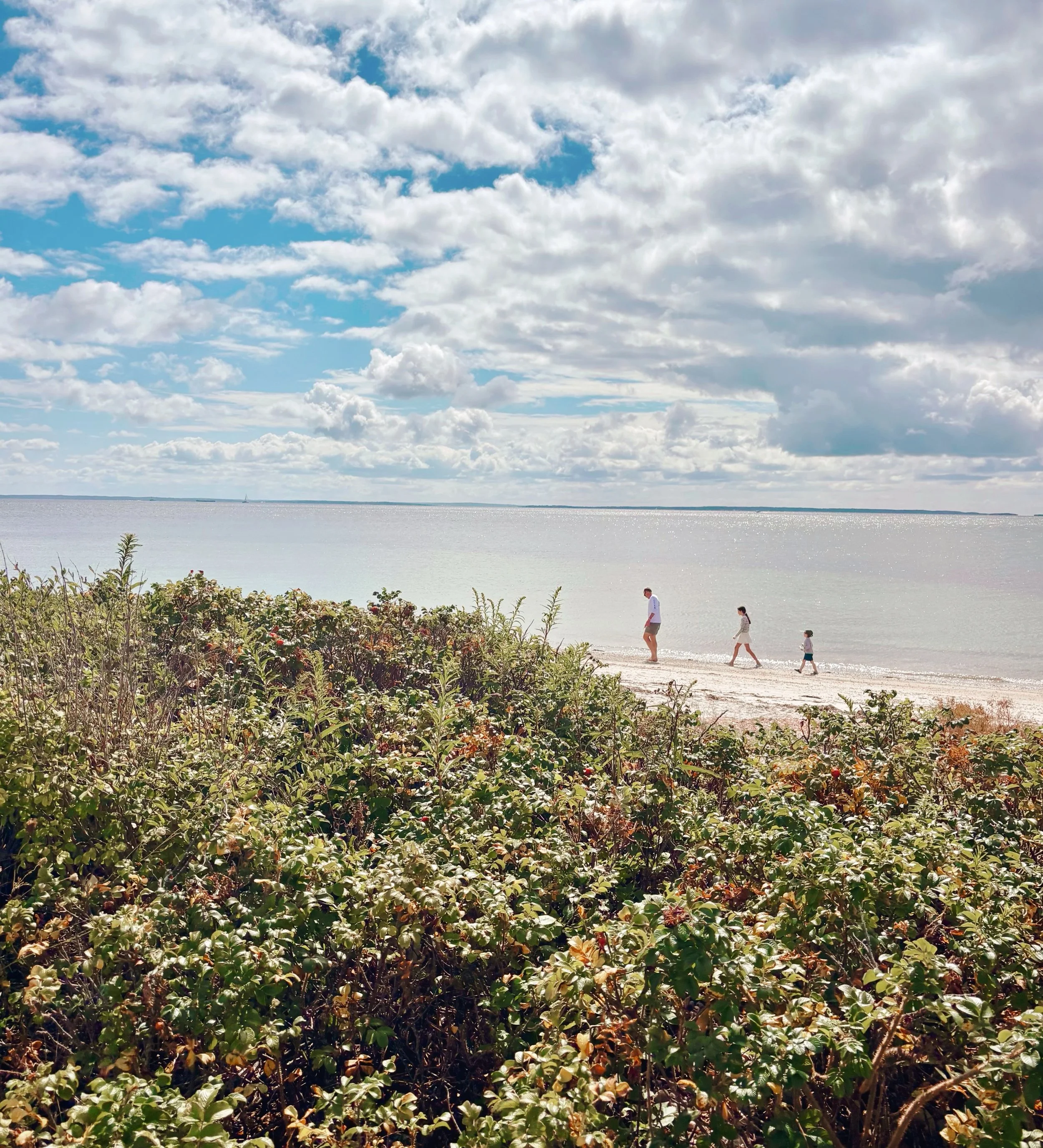 Slowly but surely infiltrating the brains of all my family members until they become an army of seaglass hunters, and holding on to summer still!