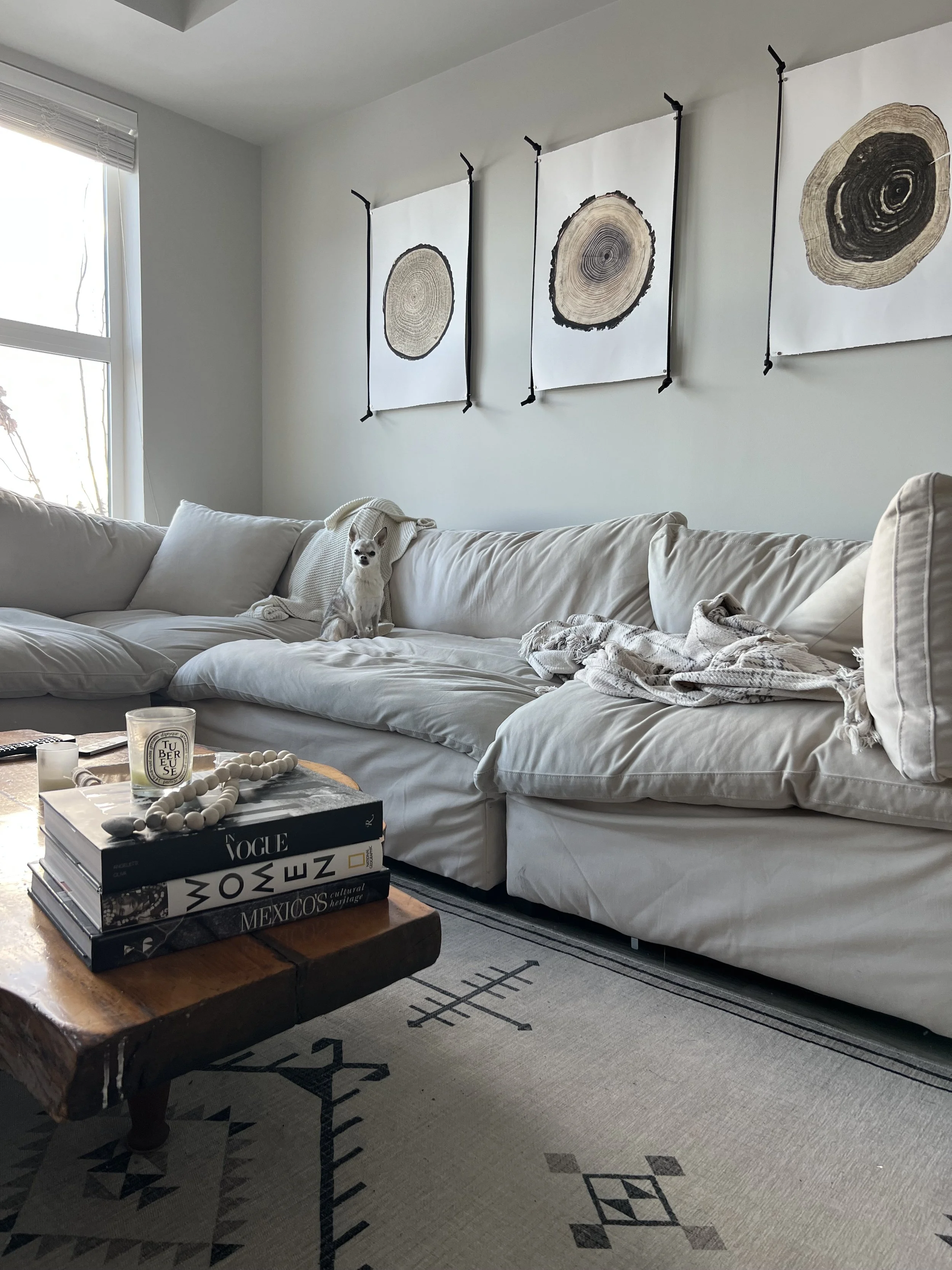 The Collected Residence