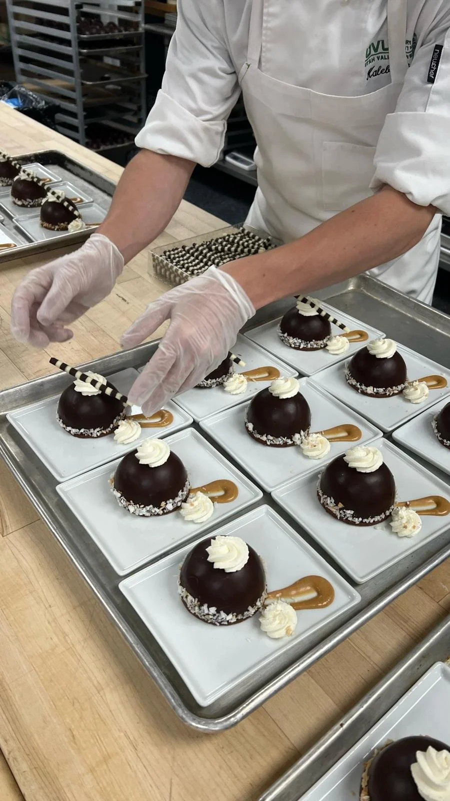 Coconut Chocolate Domes