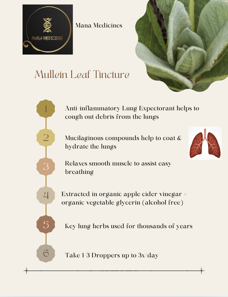 Mullein.png