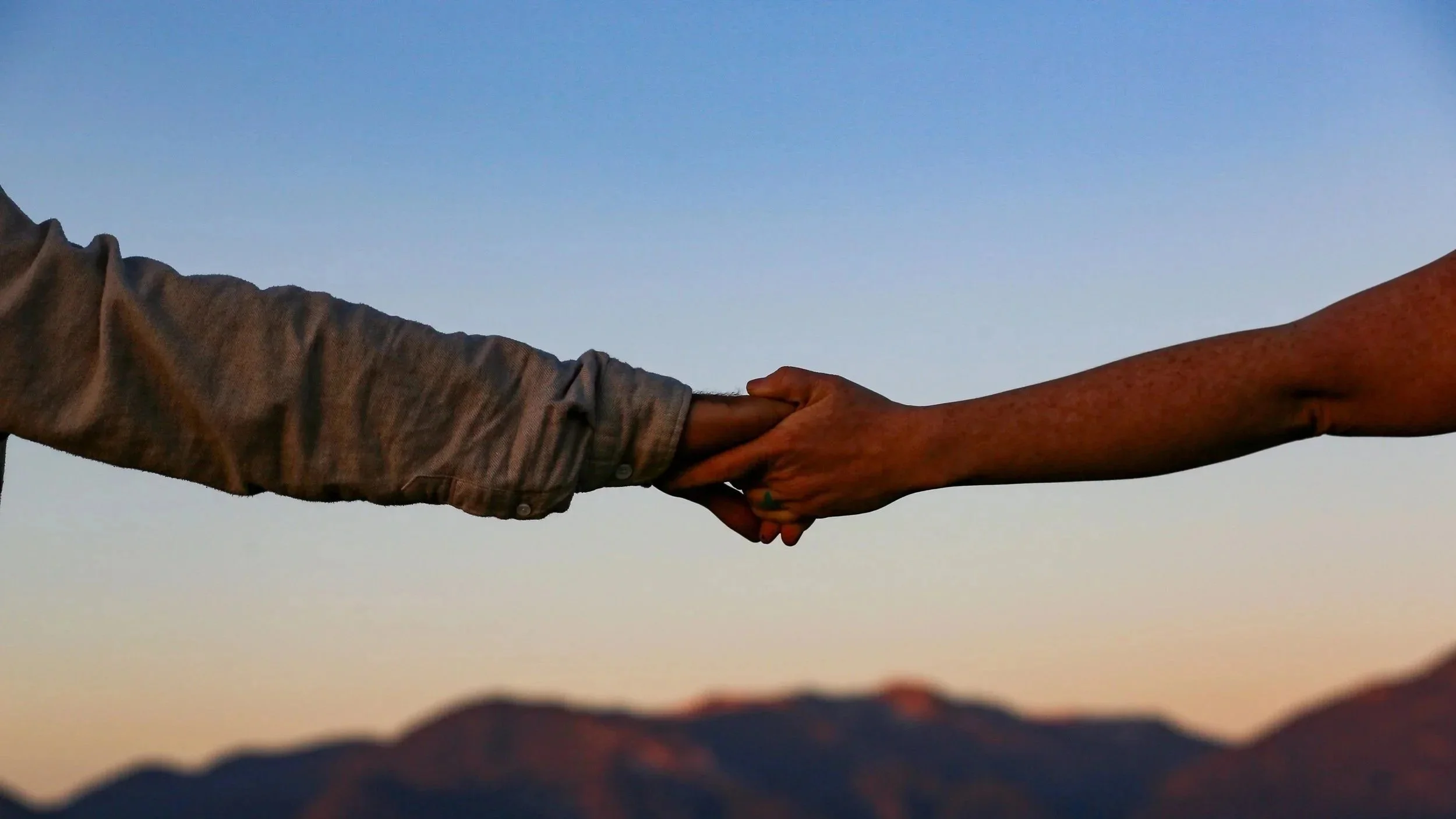 Two people are holding hands against a twilight sky, one person wearing a long-sleeved shirt and the other person's arm bare, with the landscape blurred below.